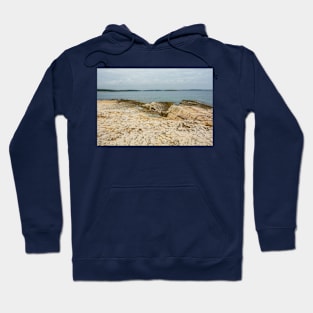 Limestone Coast in Kamenjak Park, Croatia Hoodie